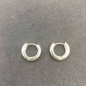 Hoop Earrings Women Huggie Silver Toned Polished Chunky Hinge Hoops Stainless?